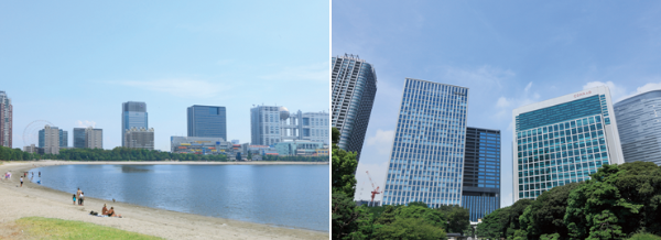 お台場 汐留